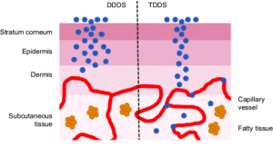 transdermal drug delivery